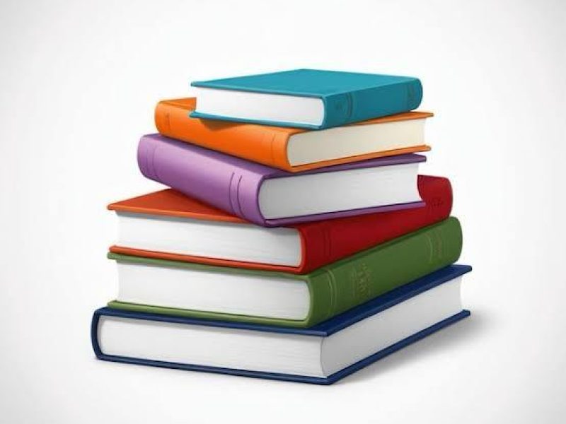 WhatsApp Image 2024-11-08 at 19.24.11_25559f57